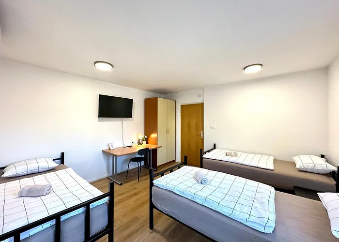 Daire Rookos Ljubljana